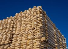 Timber companies in Southeast Estonia are in a difficult situation