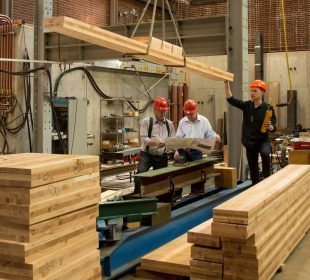 Can Poland’s timber industry survive high costs, tariffs, and rising bankruptcies?