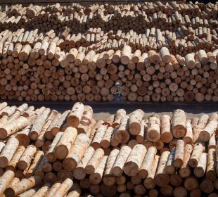 Canada to deliver $700M for struggling softwood lumber sector