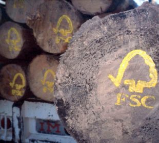 FSC to vote on motion addressing fraud allegations in certification system