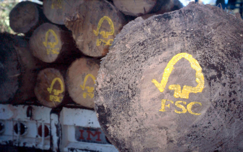 FSC to vote on motion addressing fraud allegations in certification system