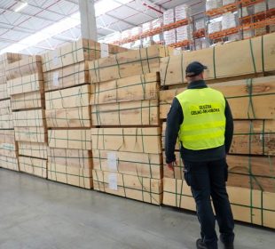 GD holz criticizes EU anti-dumping proceedings on China plywood