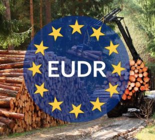 German wood industry criticizes EUDR changes: Relief or worsening planned?