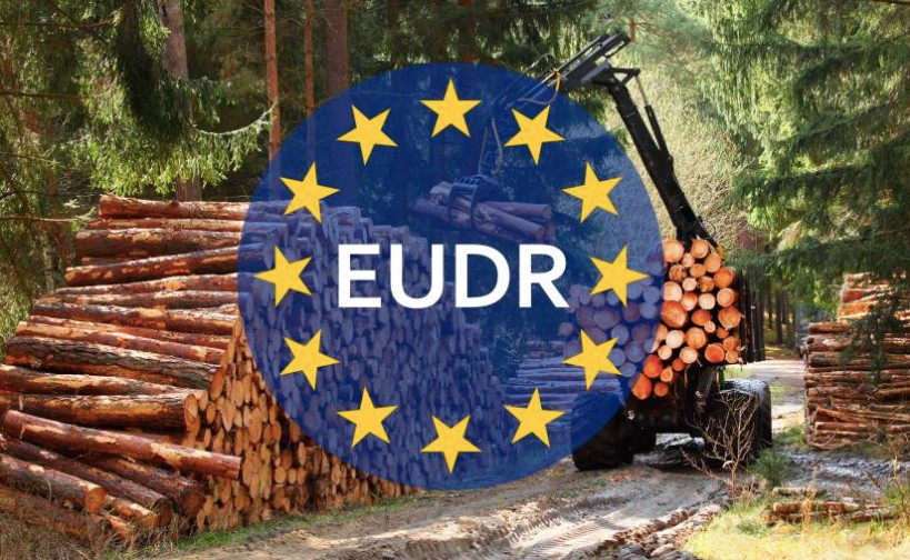 German wood industry criticizes EUDR changes: Relief or worsening planned?