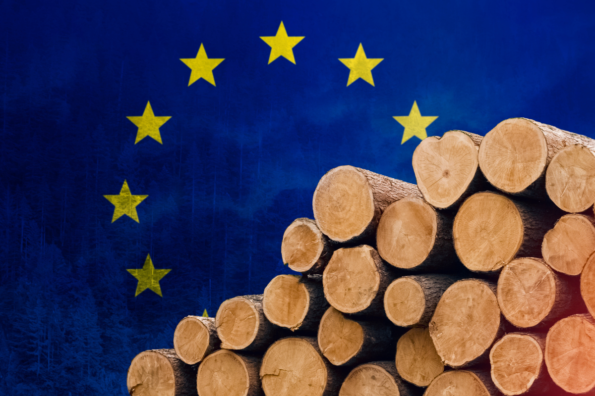 Industry reaction on EUDR changes: “Relief, but not enough”