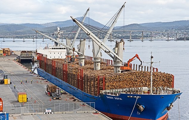 Poland: Timber prices steady while shipments to China hit record lows