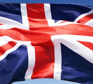 UK will promote domestic structural timber in the C16 class