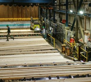 Canada’s lumber industry’s eyeing global markets to offset US tariffs