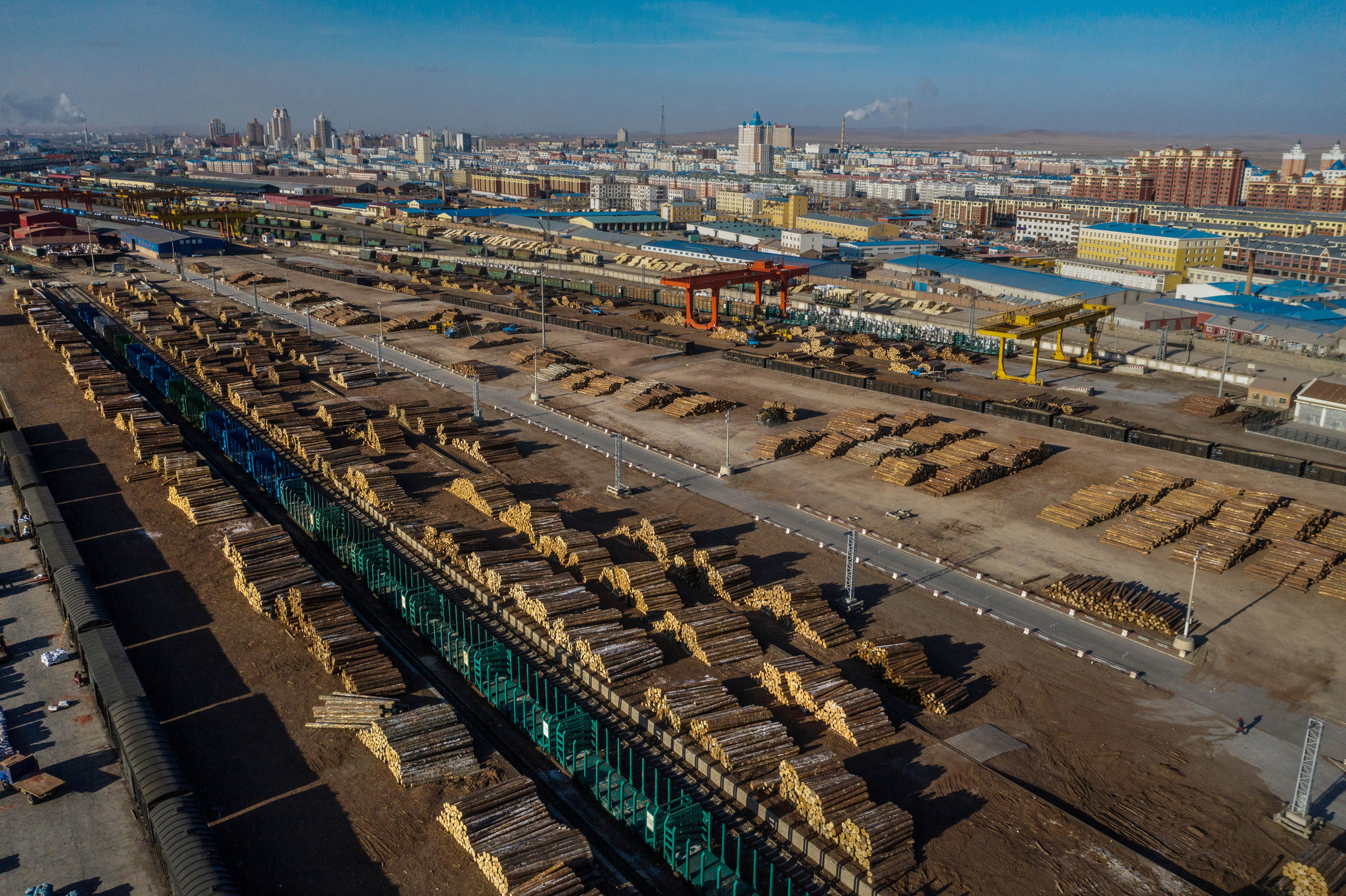 China resumes US log imports, but market recovery may be gradual