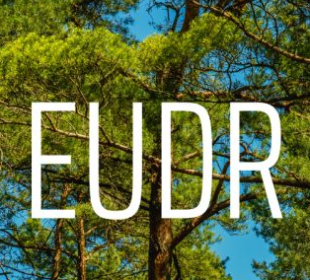 EU Council prepares to negotiate eudr amendments with European Parliament