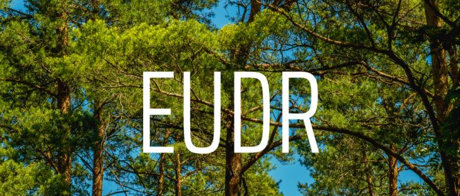 EU Council prepares to negotiate eudr amendments with European Parliament