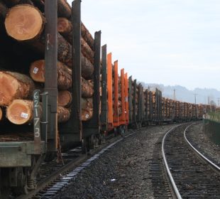 EU increases purchases of Norwegian softwood as prices rise in 2025