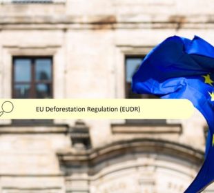 EU member states backs German-led push to delay and revise deforestation rules