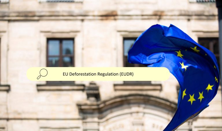 EU member states backs German-led push to delay and revise deforestation rules