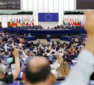 EU Parliament agrees to delay and review supply chain deforestation law