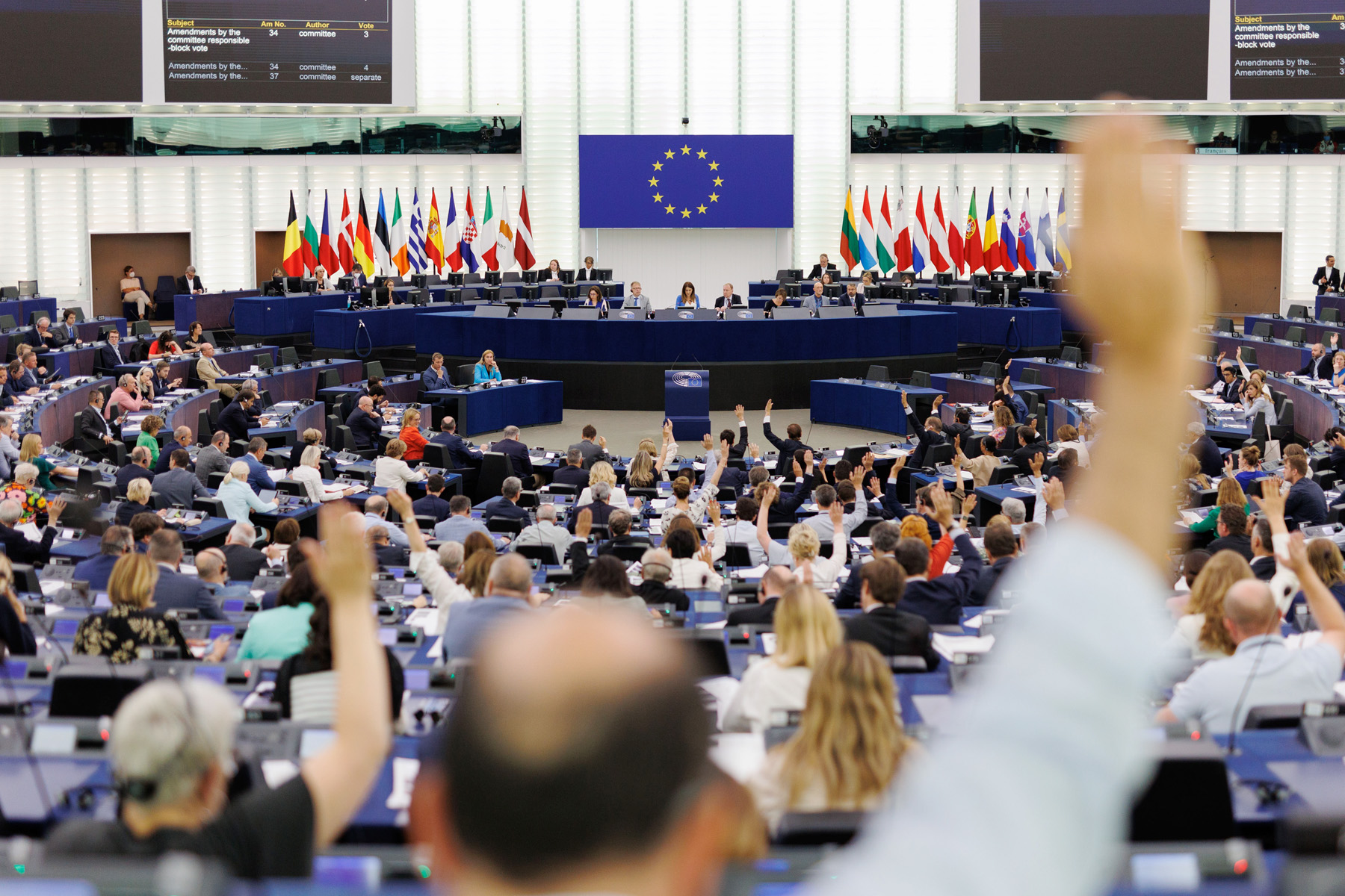 EU Parliament agrees to delay and review supply chain deforestation law