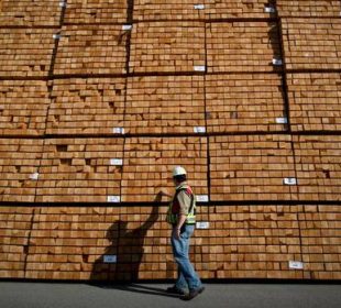 EU softwood lumber shipments to the U.S. accelerate in 2025 as Germany and Sweden widen their lead