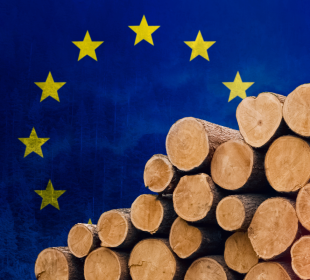 EU, UK timber groups reaffirm stance against Russian, Belarusian wood