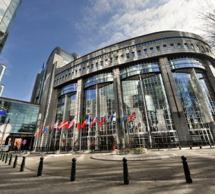 European Parliament backs simplification of EU anti-deforestation rules