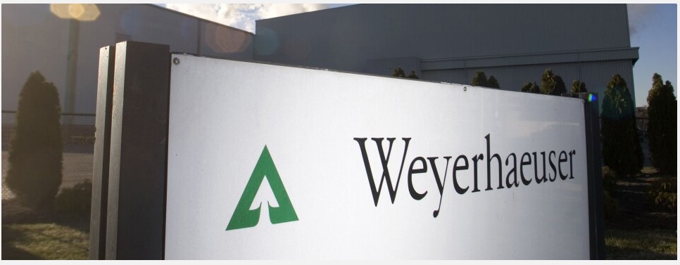 Weyerhaeuser posts higher Q3 profit on stronger sales and timberland deals