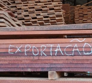 Brazilian timber exports to the US plunge 55% after new tariffs, triggering production cuts and growing risk of layoffs