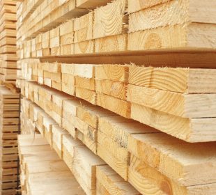 Current state of the Swedish forest industry: layoffs rise as optimism fades
