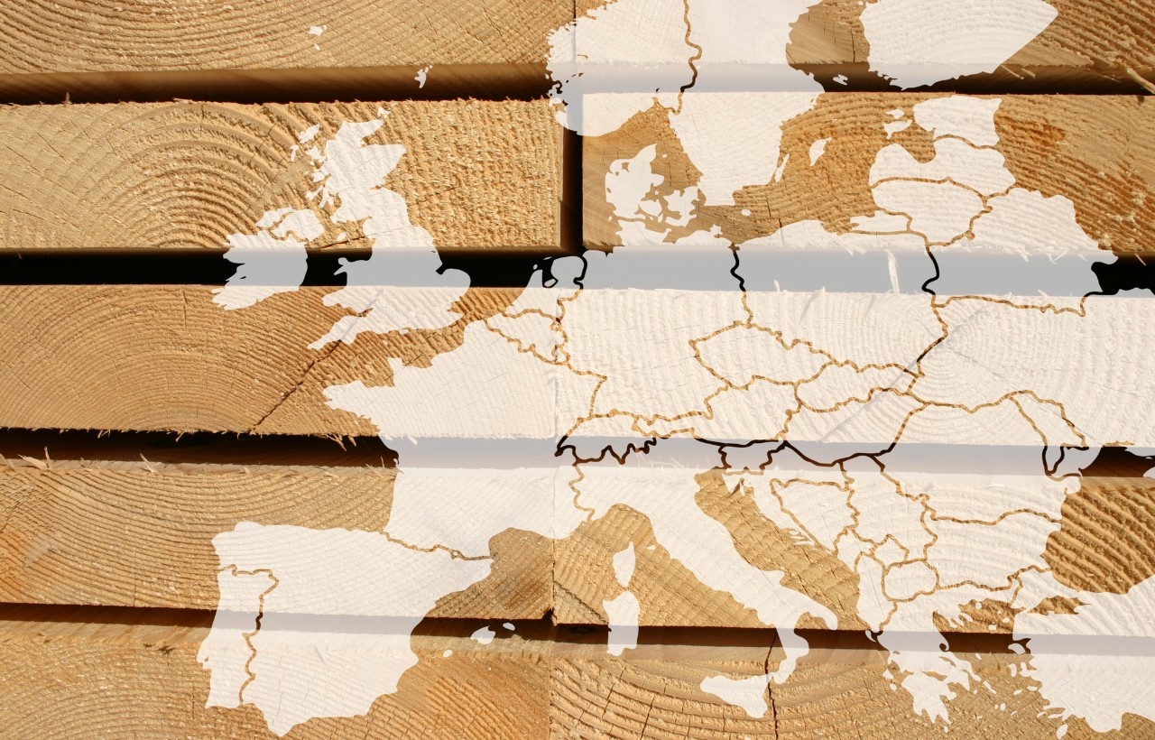 Forecast 2026: Europe’s wood markets look toward a calmer year with more predictable trading