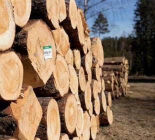 Södra lowers prices