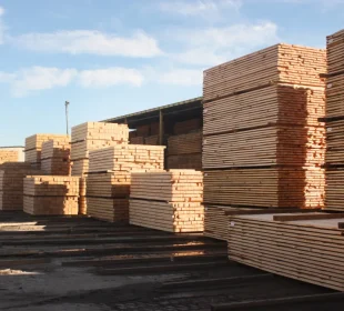 Southern Yellow Pine becomes North America’s dominant growth timber as Canadian output declines