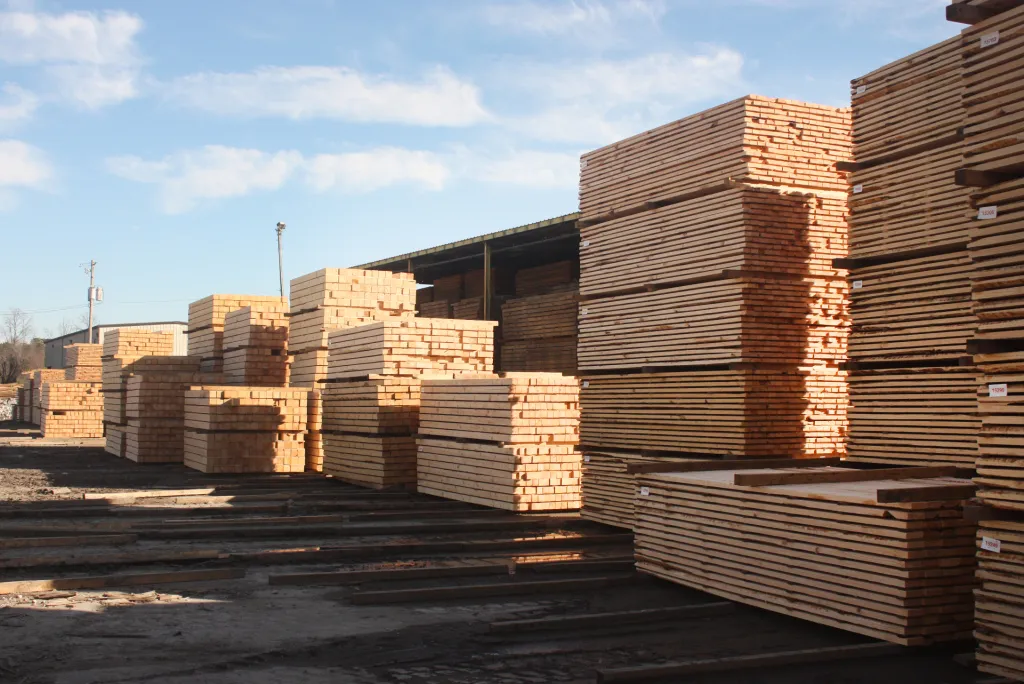 Southern Yellow Pine becomes North America’s dominant growth timber as Canadian output declines
