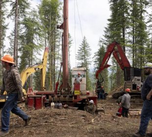 Trump logging plan sparks nationwide lawsuits over old-growth forests