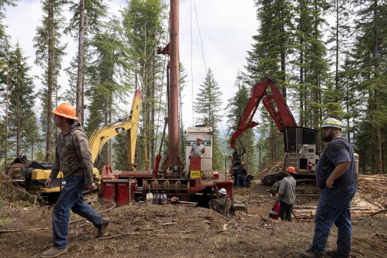 Trump logging plan sparks nationwide lawsuits over old-growth forests