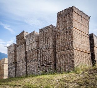 U.S. sawmill capacity rises but production remains flat