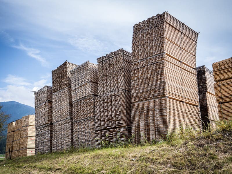 U.S. sawmill capacity rises but production remains flat