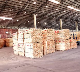 UK softwood lumber imports from the EU countries rise sharply in 2025