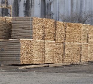 US lumber prices hover around $550 due to policy optimism and supply restraint