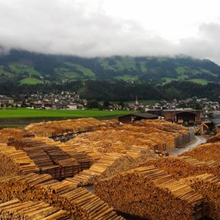 Austrian sawlog prices firm at start of 2026 on steady softwood demand