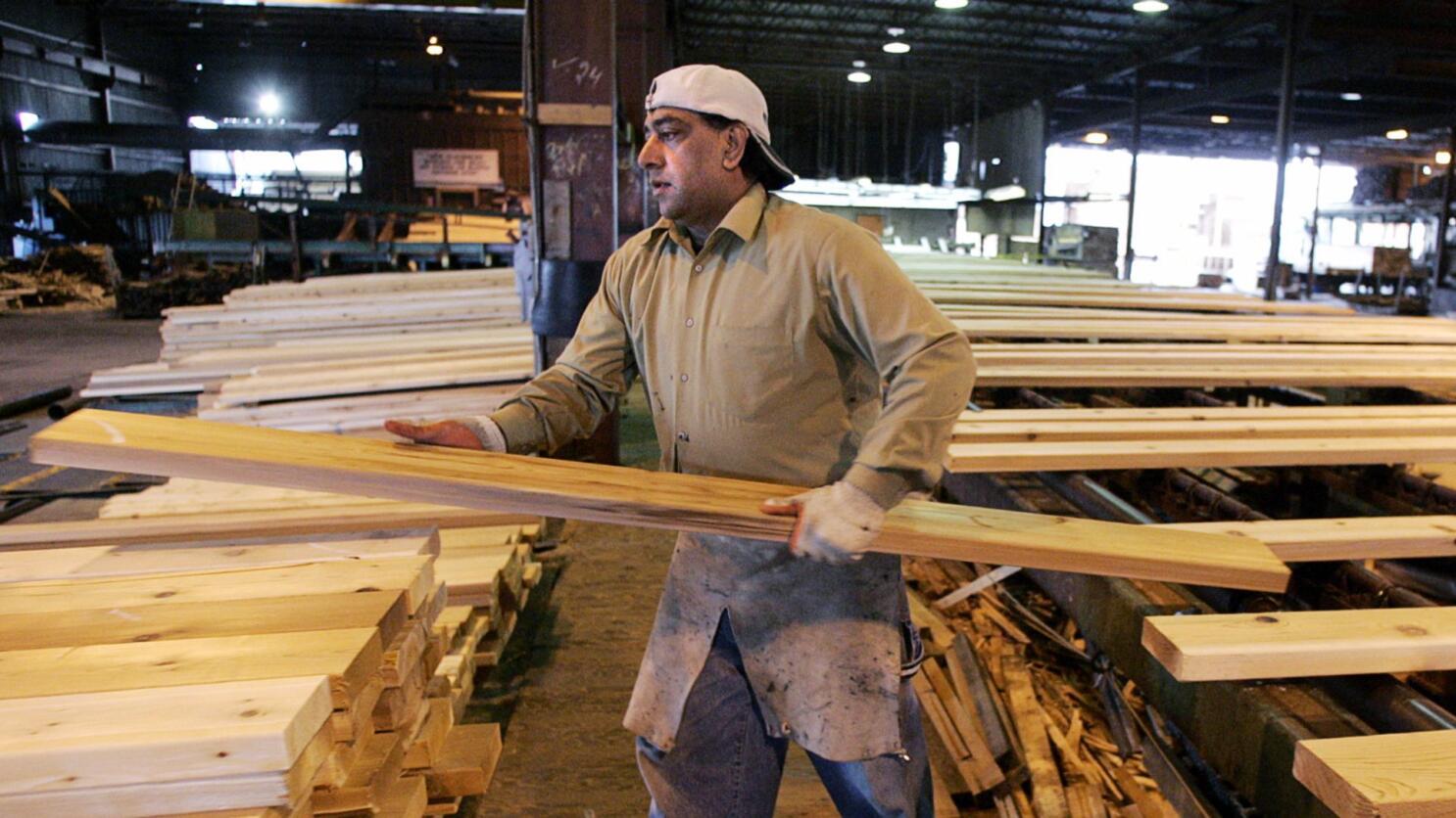 B.C. forest sector braces for another difficult year as raw material shortages persist