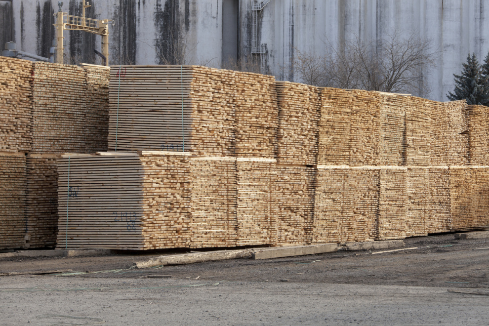 Baltic softwood lumber exporters benefit from firmer pricing environment