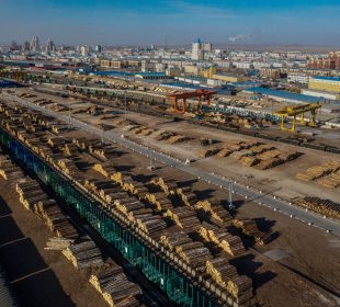 EU timber imports hit by triple squeeze of tariffs, regulation and weak demand