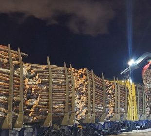 Gigantic transport volumes: Roundwood on Swedish railways