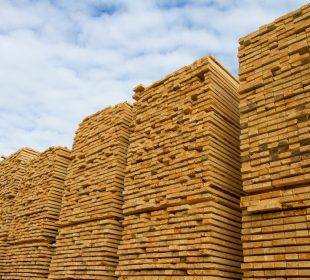 Global wood markets seen entering a calmer trading phase in 2026