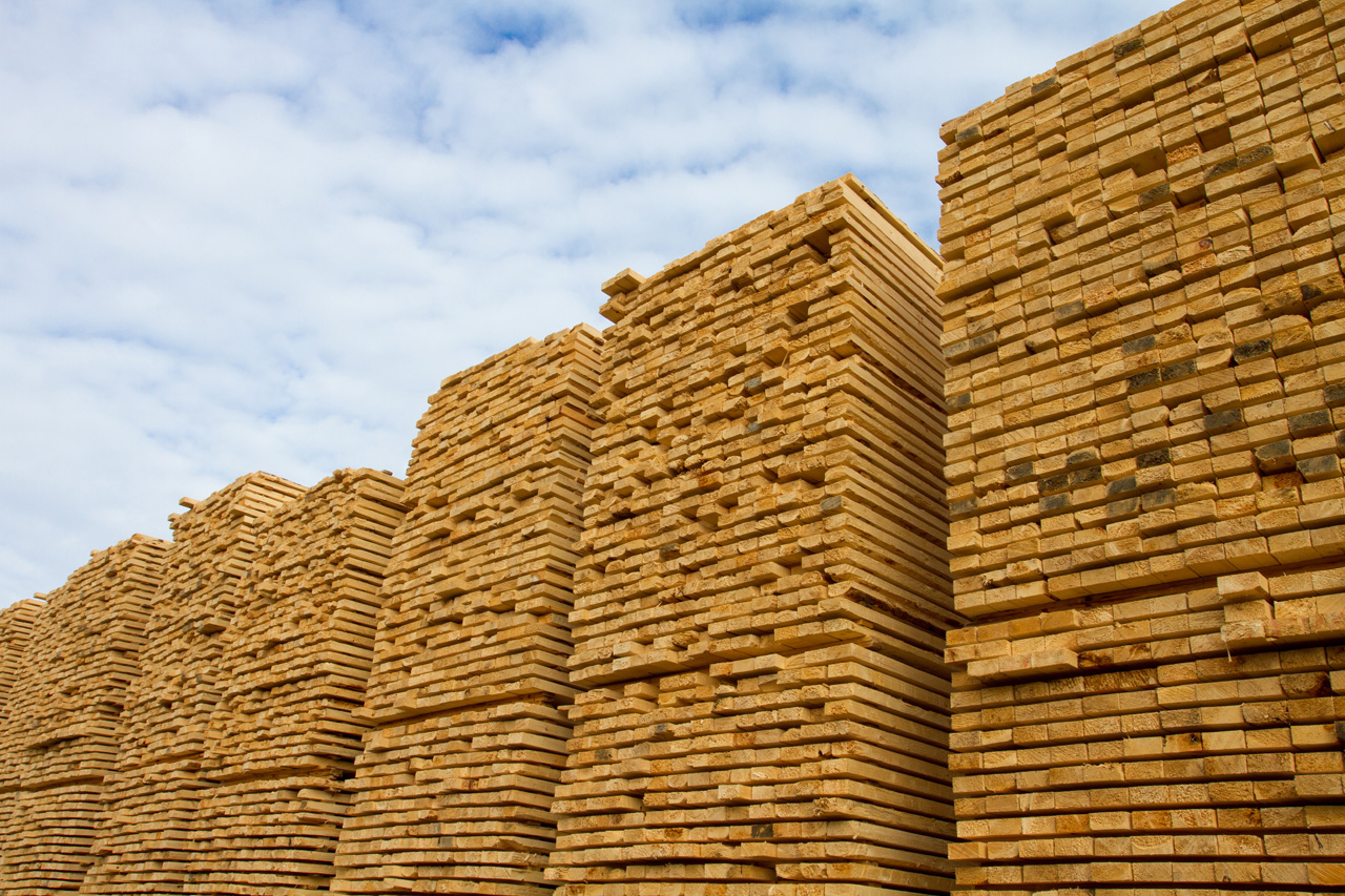 Global wood markets seen entering a calmer trading phase in 2026