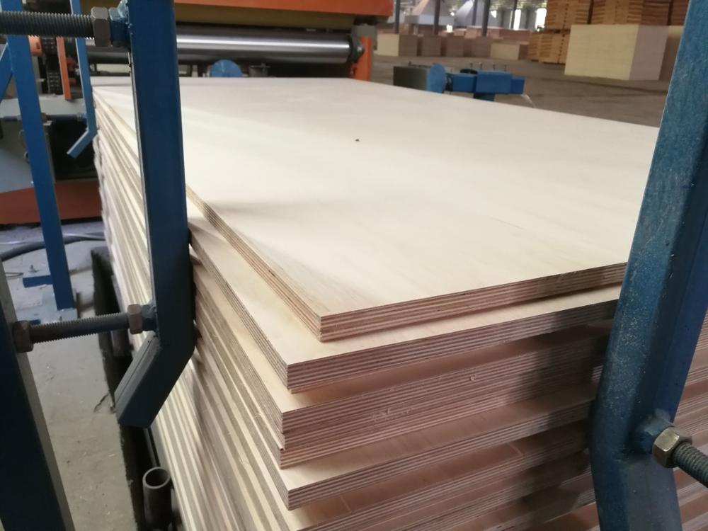 Has Georgia become a new gateway for Russian plywood into the EU market?