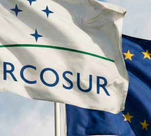 Mercosur trade deal seen as boost for Finland’s forest industry