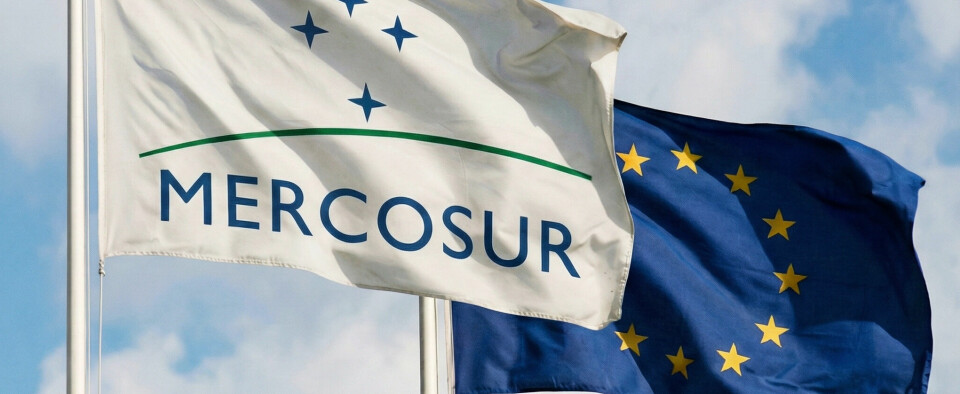 Mercosur trade deal seen as boost for Finland’s forest industry