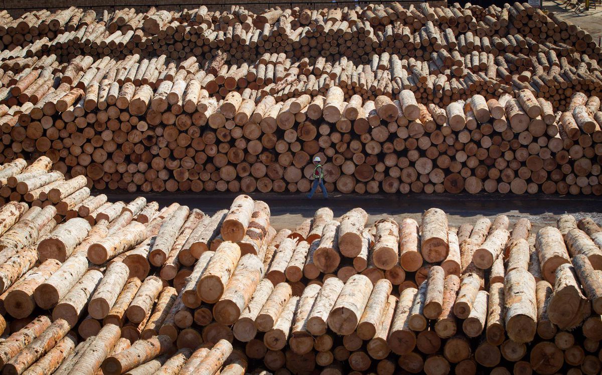 Task force begins work to reshape Canada’s forest sector