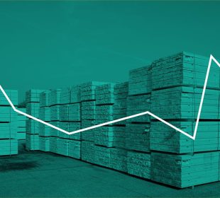 UK softwood market waits for direction in 2026