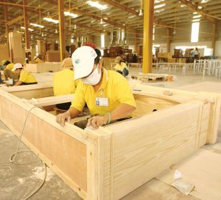 Vietnam plans 35% export expansion in wood sector by end of decade