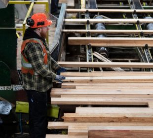 Western Forest Products extends Chemainus mill shutdown to year-end